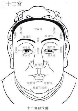 八字宫测算方法详解,命运,事业,八字,第1张 八字宫测算方法详解,命运,事业,八字,第1张