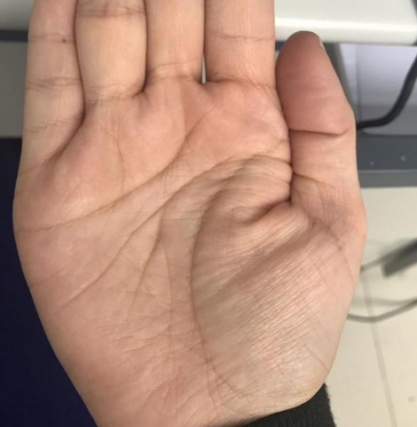 手相为何不被算命?,象征,命运,八字,第1张 手相为何不被算命?,象征,命运,八字,第1张