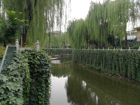 梦见铺河道,解读与启示,象征,挑战,光明,第1张 梦见铺河道,解读与启示,象征,挑战,光明,第1张