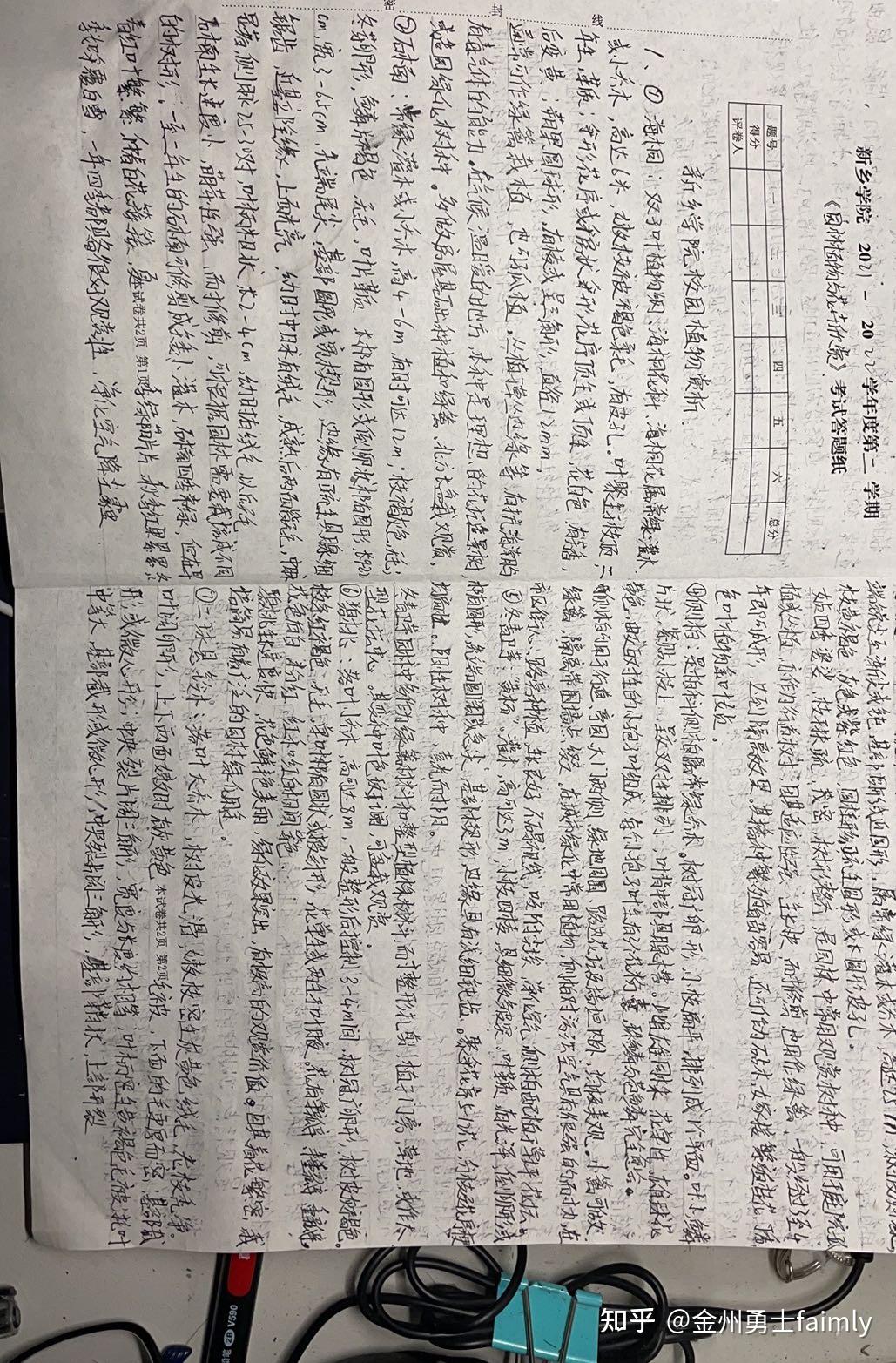 好,用户让我写一篇关于杏树的文章,标题和内容都要写。首先,我得确定标题,得吸引人,同时又能准确传达主题。杏树有,这听起来挺有意思的,可能和传统文化结合杏树的象征意义,象征,希望,气场,第1张 好,用户让我写一篇关于杏树的文章,标题和内容都要写。首先,我得确定标题,得吸引人,同时又能准确传达主题。杏树有,这听起来挺有意思的,可能和传统文化结合杏树的象征意义,象征,希望,气场,第1张