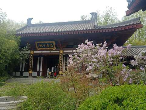 好，用户想要一篇关于济南有哪些求签寺庙的文章。首先，我需要确定济南有哪些寺庙提供求签服务。济南的寺庙很多，我需要挑选那些比较著名或者有特色的地方,希望,求签,占卜,第1张