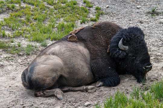好,用户让我写一篇关于牛宝宝取名嘉什么的文章,首先得确定一个合适的标题。标题要简洁又能吸引人,比如牛宝宝取名嘉什么,传统与现代的结合这样既点明了主题,又有一定的吸引力,宝宝取名,传统与现代,第1张 好,用户让我写一篇关于牛宝宝取名嘉什么的文章,首先得确定一个合适的标题。标题要简洁又能吸引人,比如牛宝宝取名嘉什么,传统与现代的结合这样既点明了主题,又有一定的吸引力,宝宝取名,传统与现代,第1张