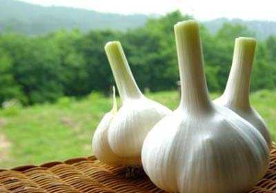 梦见岩蒜，预兆与解梦解析,象征,挑战,自我,第1张