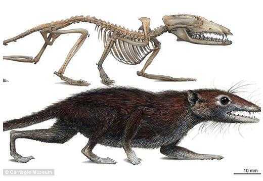 鼠宝宝大名姓,传统与现代的结合,象征,事业,挑战,第1张 鼠宝宝大名姓,传统与现代的结合,象征,事业,挑战,第1张