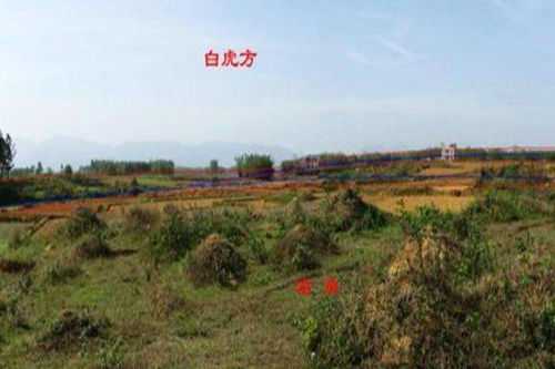 最好阴地是什么意思,事业,气场,能量,第1张 最好阴地是什么意思,事业,气场,能量,第1张