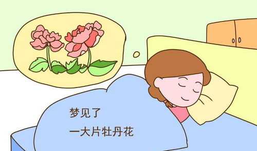梦见怀三胎,解读梦境背后的深意,象征,挑战,解梦,第1张 梦见怀三胎,解读梦境背后的深意,象征,挑战,解梦,第1张