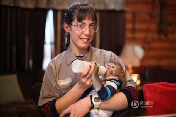 猴子宝宝取名指南，给女孩起个好听的名字,希望,宝宝取名,美好,第1张