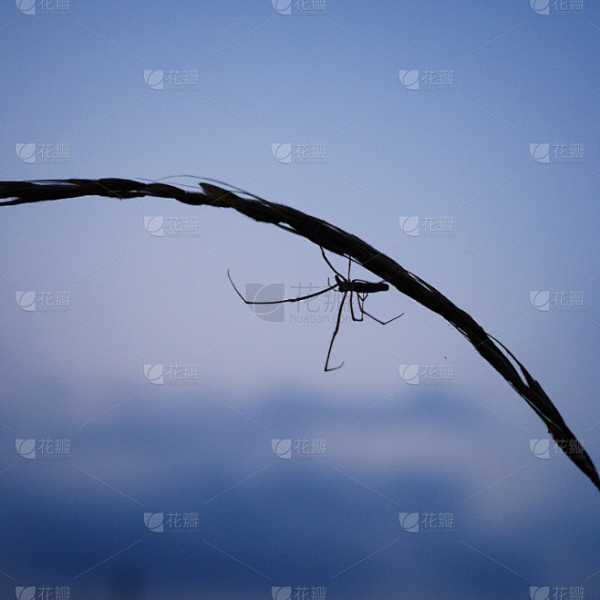 梦见，解读与应对的智慧,象征,挑战,自我,第1张