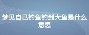 好，用户让我写一篇关于解梦小孩钓鱼什么意思啊的文章，先写标题，再写内容，内容不少于840字。首先，我需要理解这个关键词的含义。解梦通常涉及梦的象征意义，小孩钓鱼可能代表某种情感或经历,象征,挑战,自我,第1张