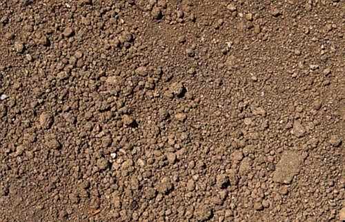 土年十二生肖运势解析，事业与健康的关键时刻,事业,合作,生肖运势,第1张