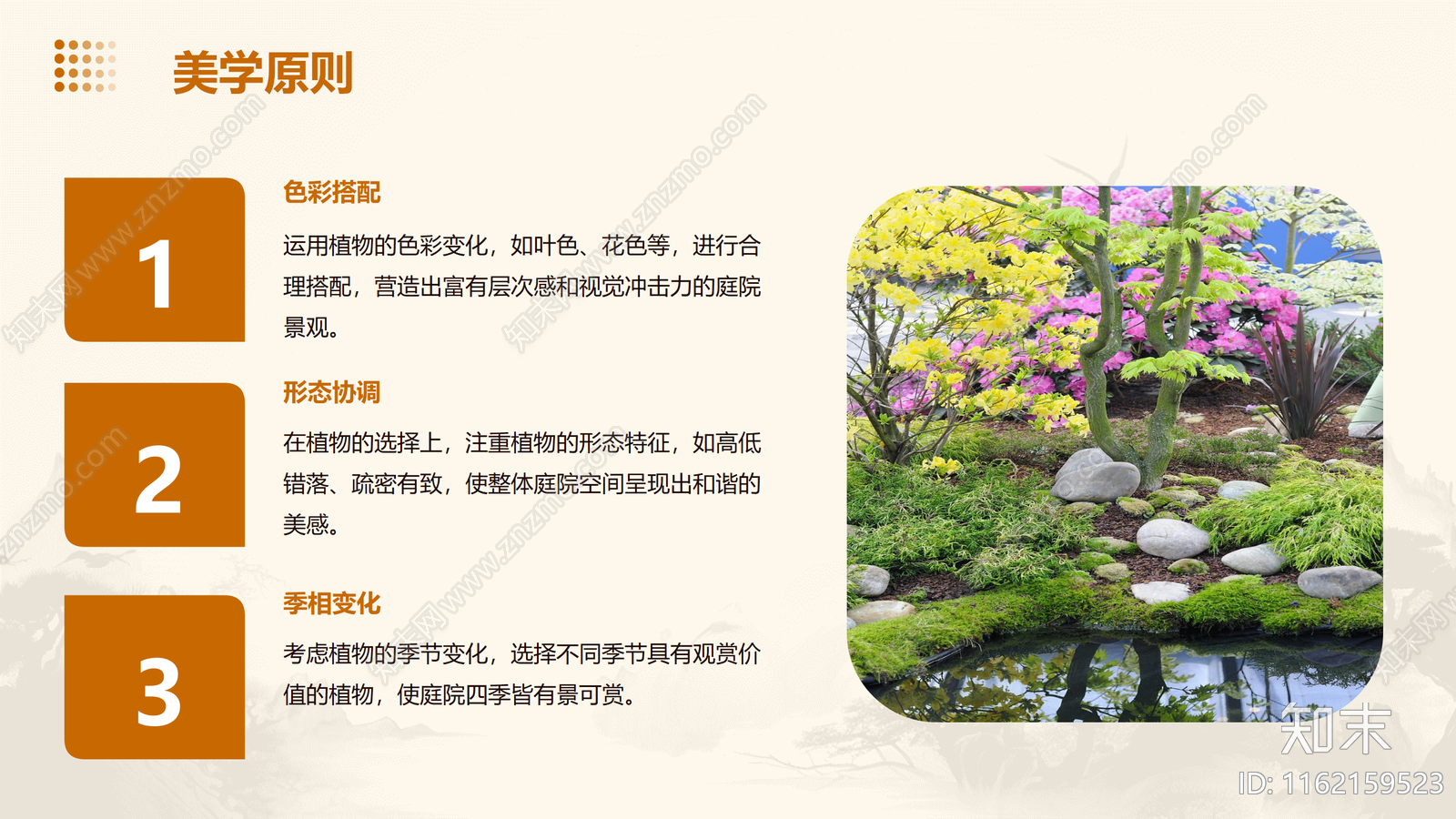 植物讲究，槿木搭配讲究，如何让您的空间充满生机与福气？,象征,事业,气场,第1张