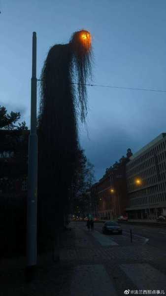 好，用户让我写一篇关于浩氏宝宝取名怎么样女孩的文章，先写标题，再写内容，内容不少于917个字。首先，我需要理解用户的需求。他们可能是在考虑为女儿取名，想了解浩氏这个名字的优缺点,象征,希望,宝宝取名,第1张