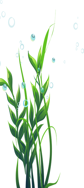 好，用户让我写一篇关于水草宝宝取名寓意的文章，先写标题，再写内容，内容不少于903个字。首先，我需要确定标题，要吸引人，同时能点明主题。水草宝宝取名，寓意是什么呢？可能和自然、生长、希望有关,象征,希望,宝宝取名,第1张