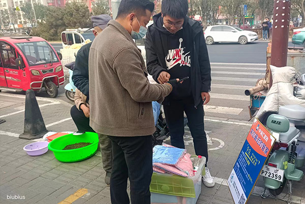 好，用户让我写一篇关于楼上有一条蛇的解梦文章，关键词包括预兆和解梦。首先，我需要确定文章的标题，可能用诗意一点的，比如楼上的那条蛇，解读梦境中的隐喻,象征,挑战,自我,第1张