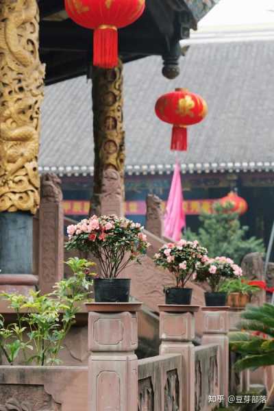 青羊宫十七签,命理学中的神秘解法,占卜,风水,抽签,第1张 青羊宫十七签,命理学中的神秘解法,占卜,风水,抽签,第1张