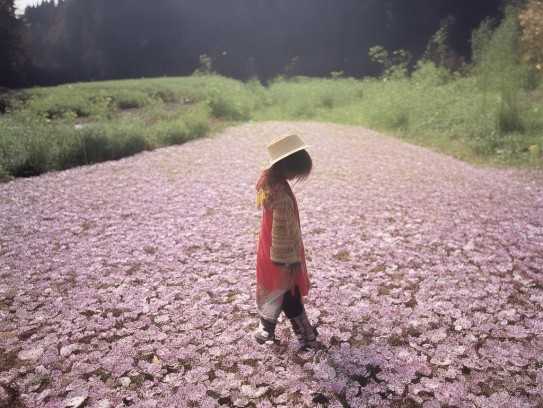 嗯，用户让我写一篇关于鞋子放什么花最旺的文章。首先，我得理解用户的需求。他们可能是在寻找一种装饰鞋子的方法，同时希望提升家中或办公室的。所以，标题需要吸引人，同时明确主题,嗯，用户让我写一篇关于鞋子放什么花最旺的文章。首先，我得理解用户的需求。他们可能是在寻找一种装饰鞋子的方法，同时希望提升家中或办公室的。所以，标题需要吸引人，同时明确主题,象征,希望,气场,第1张