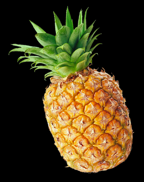 好，用户让我写一篇关于凤梨作用是什么的文章，先写标题，再写内容，内容不少于957个字。首先，我需要明确凤梨在中的作用，可能需要查阅相关资料,象征,事业,能量,第1张