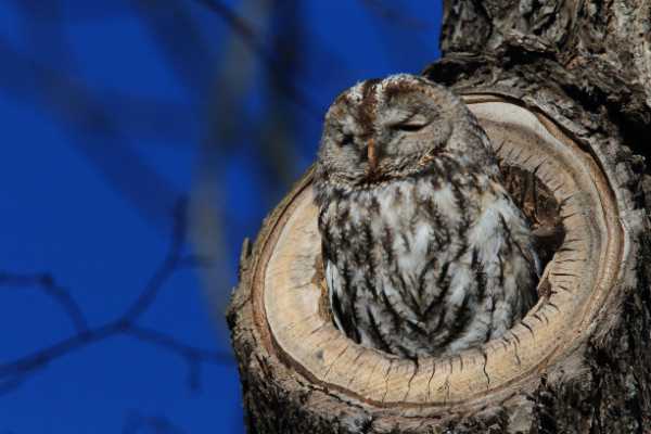 嗯,用户让我写一篇关于棕树的文章,标题和内容都要写。首先,我得确定标题,可能需要吸引人,同时包含关键词棕树。标题可以考虑用棕树,中的神秘象征或者棕树,自然与人文的结合之类的,象征,事业,挑战,第1张 嗯,用户让我写一篇关于棕树的文章,标题和内容都要写。首先,我得确定标题,可能需要吸引人,同时包含关键词棕树。标题可以考虑用棕树,中的神秘象征或者棕树,自然与人文的结合之类的,象征,事业,挑战,第1张