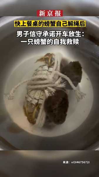 桌上螃蟹摆放，揭秘如何借助提升家居运势与美观度,气场,风水,美好,第1张