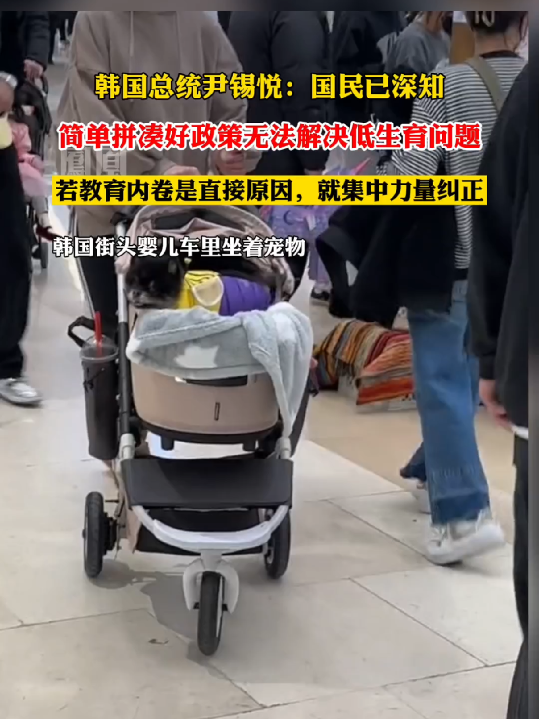 崔和韩携手育儿,如何为宝宝取一个响亮又的名字,命运,八字,宝宝取名,第1张 崔和韩携手育儿,如何为宝宝取一个响亮又的名字,命运,八字,宝宝取名,第1张