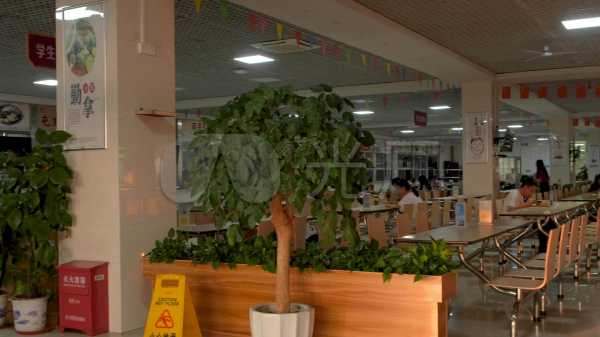 食堂布置,挑选花卉,提升就餐氛围与运势,象征,气场,风水布局,第1张 食堂布置,挑选花卉,提升就餐氛围与运势,象征,气场,风水布局,第1张