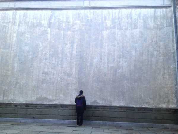 高墙院内布局，种植植物，打造和谐之地,象征,事业,风水布局,第1张