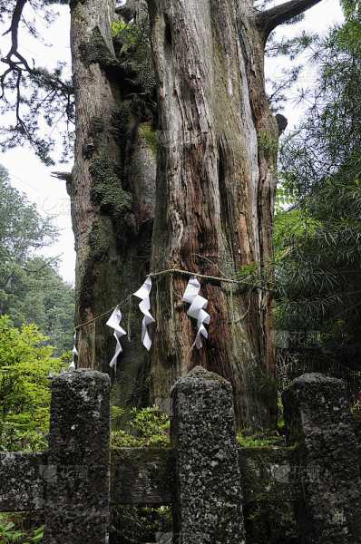 求签文化,探寻神秘之旅,希望,求签,美好,第1张 求签文化,探寻神秘之旅,希望,求签,美好,第1张