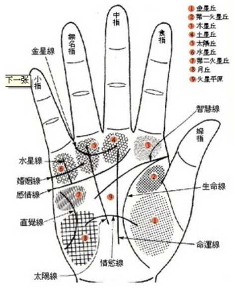 探寻断掌算命之谜，为什么断掌算命竟如此准确？,命运,算命,健康状况,第1张