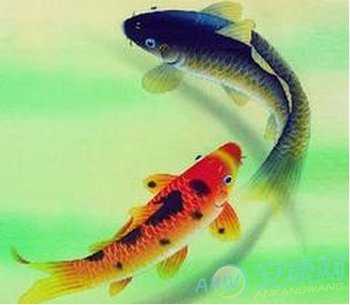 解梦有鱼是什么意思,揭秘梦境中的鱼象征及其寓意,象征,希望,解梦,第1张 解梦有鱼是什么意思,揭秘梦境中的鱼象征及其寓意,象征,希望,解梦,第1张