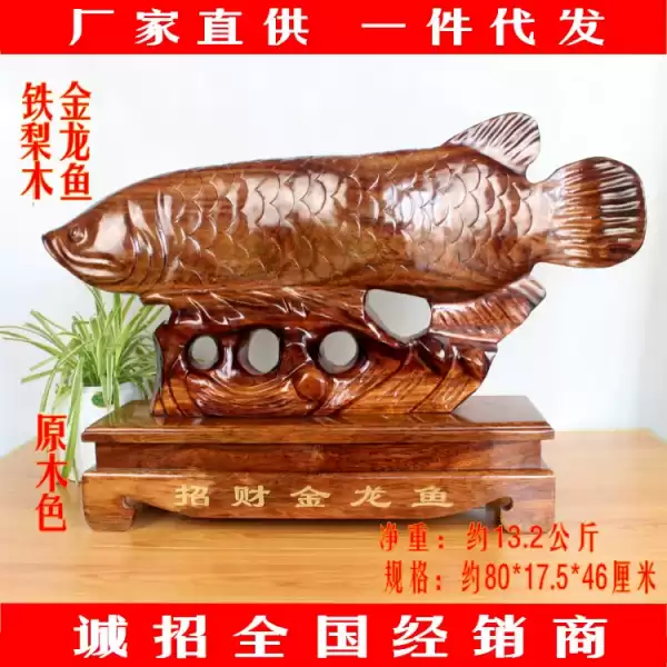 揭秘鱼之最旺鱼种，为家居增添！,象征,事业,气场,第1张