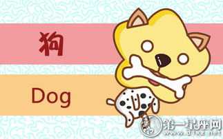 1993年生肖狗运势，展望新的一年，把握运势转折点,事业,挑战,合作,第1张