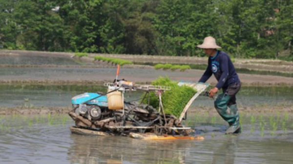 揭秘农村算命之谜,为什么农村算命的特别准?,命运,事业,八字,第1张 揭秘农村算命之谜,为什么农村算命的特别准?,命运,事业,八字,第1张