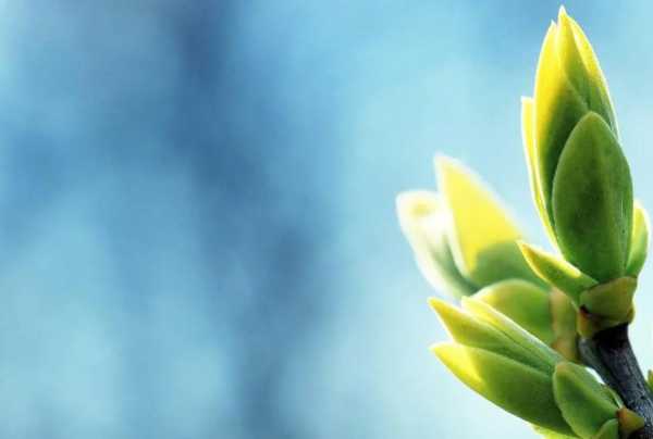 94年生肖生运势,智慧与勇气的结合,2024年运势详解,象征,事业,挑战,第1张 94年生肖生运势,智慧与勇气的结合,2024年运势详解,象征,事业,挑战,第1张