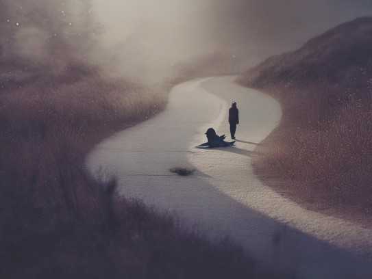 路遇死鸟的梦境解析,预示着怎样的未来?,挑战,希望,解梦,第1张 路遇死鸟的梦境解析,预示着怎样的未来?,路遇死鸟的梦境解析,预示着怎样的未来?,挑战,希望,解梦,第1张