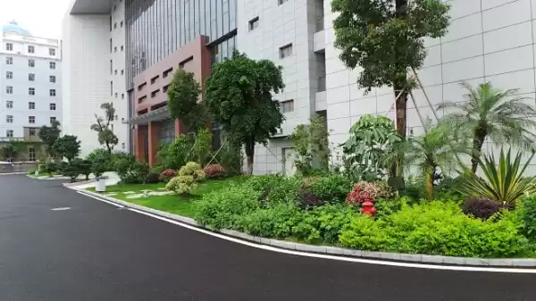 厂区绿化布局,选择佳树,提升企业运势,象征,风水,财运,第1张 厂区绿化布局,选择佳树,提升企业运势,象征,风水,财运,第1张