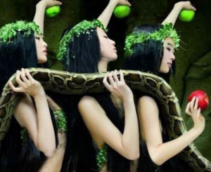 解梦之梦见大蛇,揭秘梦境中的神秘寓意,象征,事业,挑战,第1张 解梦之梦见大蛇,揭秘梦境中的神秘寓意,象征,事业,挑战,第1张