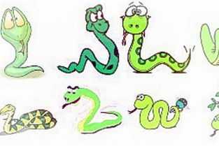 梦见黑蛇蜕皮,揭秘周公解的神秘寓意,象征,命运,事业,第1张 梦见黑蛇蜕皮,揭秘周公解的神秘寓意,象征,命运,事业,第1张