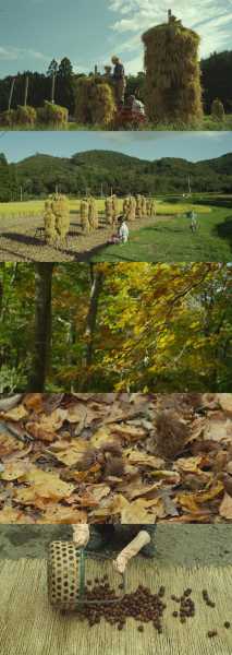 九月十号吉时,收获的季节,播种的时光,象征,挑战,希望,第1张 九月十号吉时,收获的季节,播种的时光,象征,挑战,希望,第1张