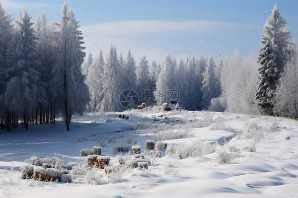 冬日暖,为出生的宝宝取个的名字,象征,希望,八字,第1张 冬日暖,为出生的宝宝取个的名字,象征,希望,八字,第1张