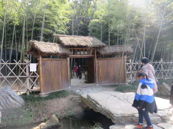 家宅有竹子，探寻竹子的奥秘与益处,象征,事业,希望,第1张