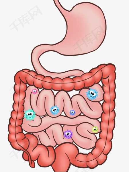 肠胃不适，家居可能藏隐患，如何调整？,希望,气场,风水,第1张