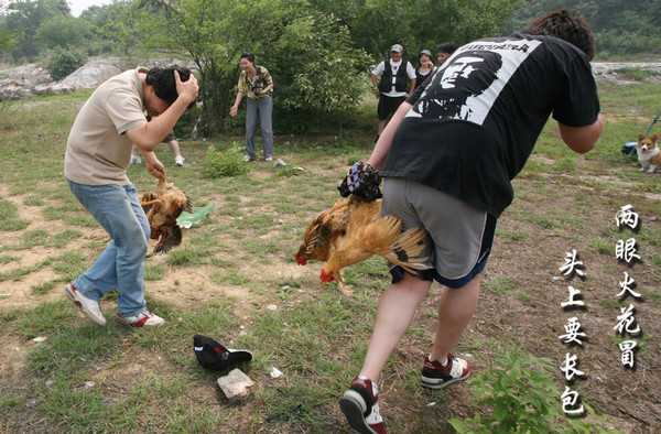 揭秘梦境中的抓鸡,抓鸡解梦的深层含义,象征,事业,挑战,第1张 揭秘梦境中的抓鸡,抓鸡解梦的深层含义,象征,事业,挑战,第1张