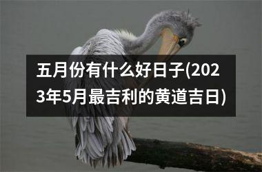 揭秘25号吉时,把握最佳时机,成就美好未来,事业,吉时,合作,第1张 揭秘25号吉时,把握最佳时机,成就美好未来,事业,吉时,合作,第1张