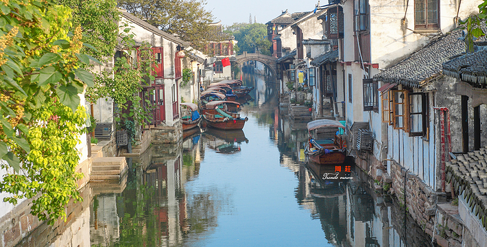 周农开业,时刻见证田园新篇章,希望,合作,美好,第1张 周农开业,时刻见证田园新篇章,希望,合作,美好,第1张
