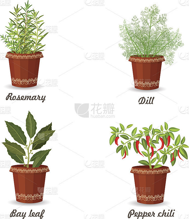 解梦,梦到洗草药盆子预示着什么?,象征,事业,挑战,第1张 解梦,梦到洗草药盆子预示着什么?,象征,事业,挑战,第1张