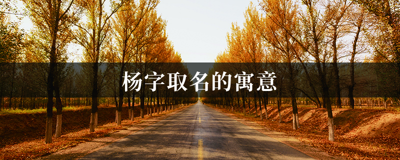 给宝宝取名杨什么秦,探寻文化内涵与美好寓意的融合之道,宝宝取名,文化传承,美好,第1张 给宝宝取名杨什么秦,探寻文化内涵与美好寓意的融合之道,宝宝取名,文化传承,美好,第1张