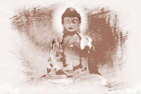 梦见黑色菩提的深层含义——周公解梦揭秘,象征,事业,挑战,第1张 梦见黑色菩提的深层含义——周公解梦揭秘,象征,事业,挑战,第1张