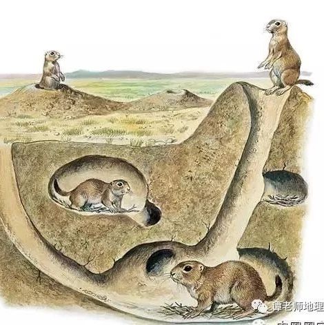 揭秘,为什么动物都怕?,气场,风水布局,风水,第1张 揭秘,为什么动物都怕?,气场,风水布局,风水,第1张