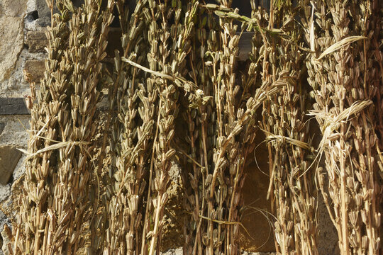 揭秘梦境中的晒,探寻其征兆与解梦奥秘,象征,事业,自我,第1张 揭秘梦境中的晒,探寻其征兆与解梦奥秘,象征,事业,自我,第1张