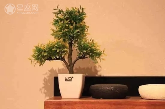 布置,摆放哪些物品能带来与和谐,事业,希望,气场,第1张 布置,摆放哪些物品能带来与和谐,事业,希望,气场,第1张